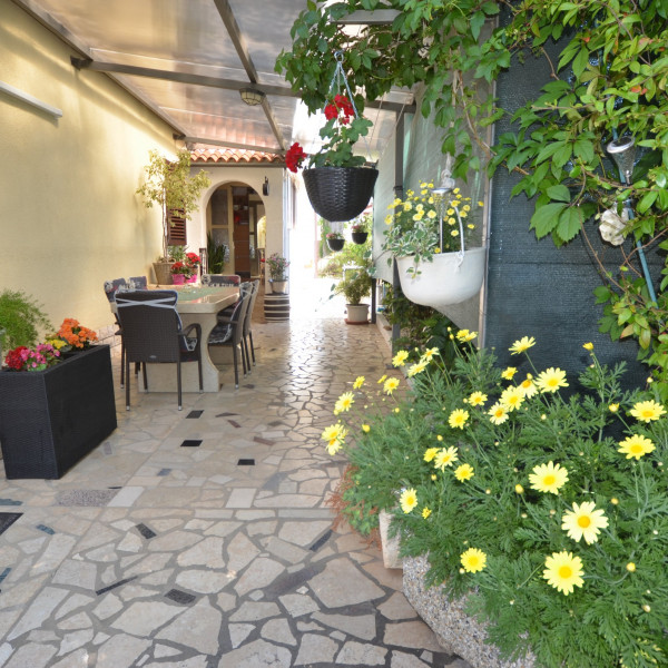 Fumi studio, Nautilus Travel- Touristische Agentur Rovinj
