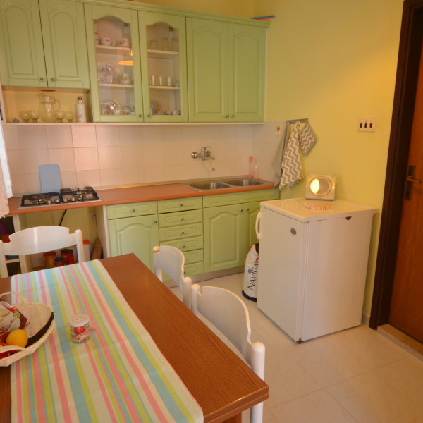 Alan, Nautilus Travel- Touristische Agentur Rovinj