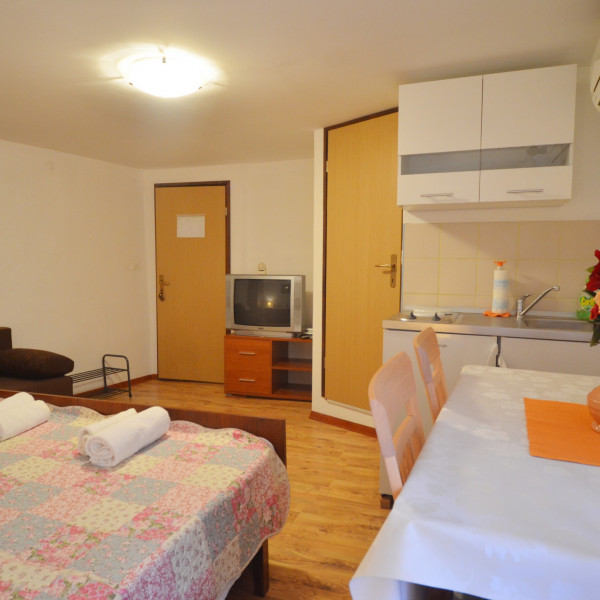 Andronella Studios, Nautilus Travel Agency Rovinj