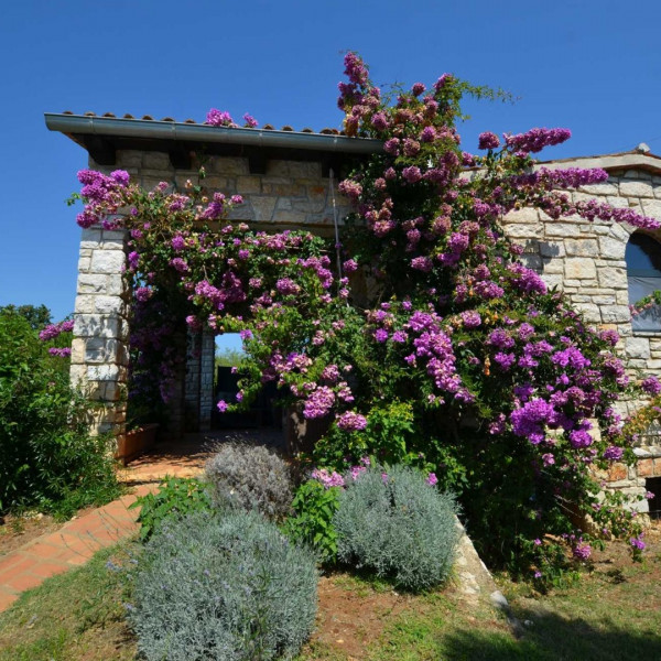 Villa Moncodogno, Nautilus Travel- Touristische Agentur Rovinj